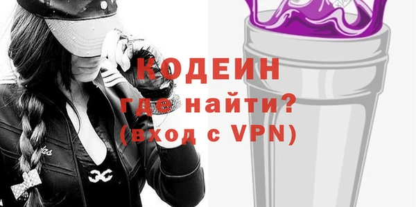 шишки Елизово