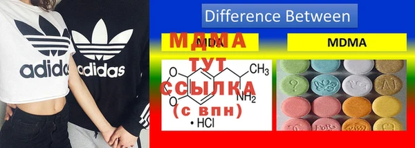 шишки Елизово