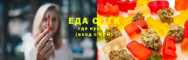 шишки Елизово