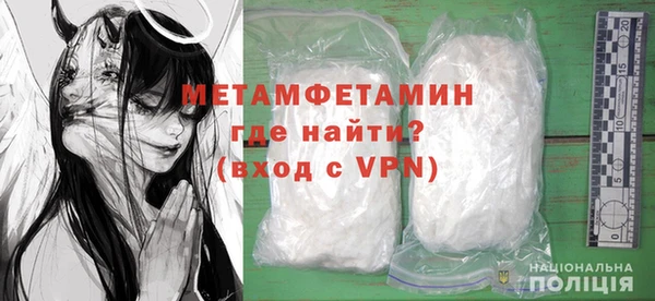 шишки Елизово