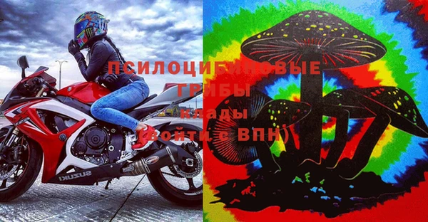 шишки Елизово