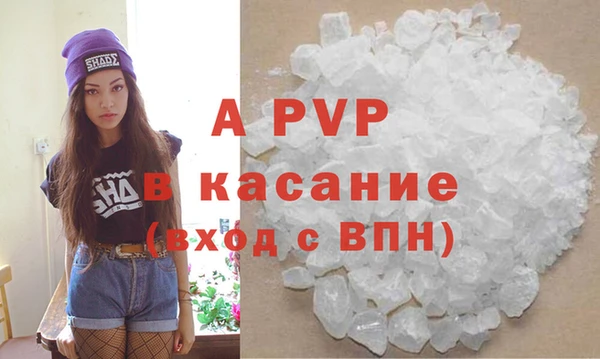 шишки Елизово