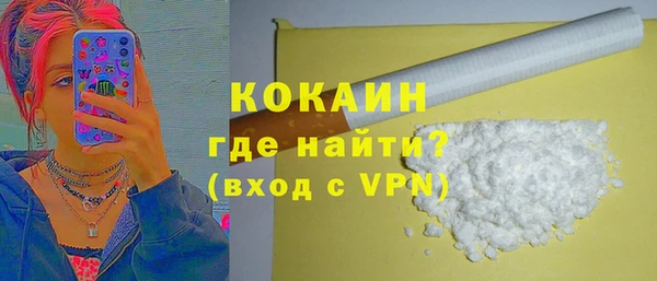 шишки Елизово