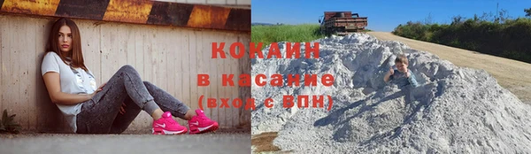 шишки Елизово