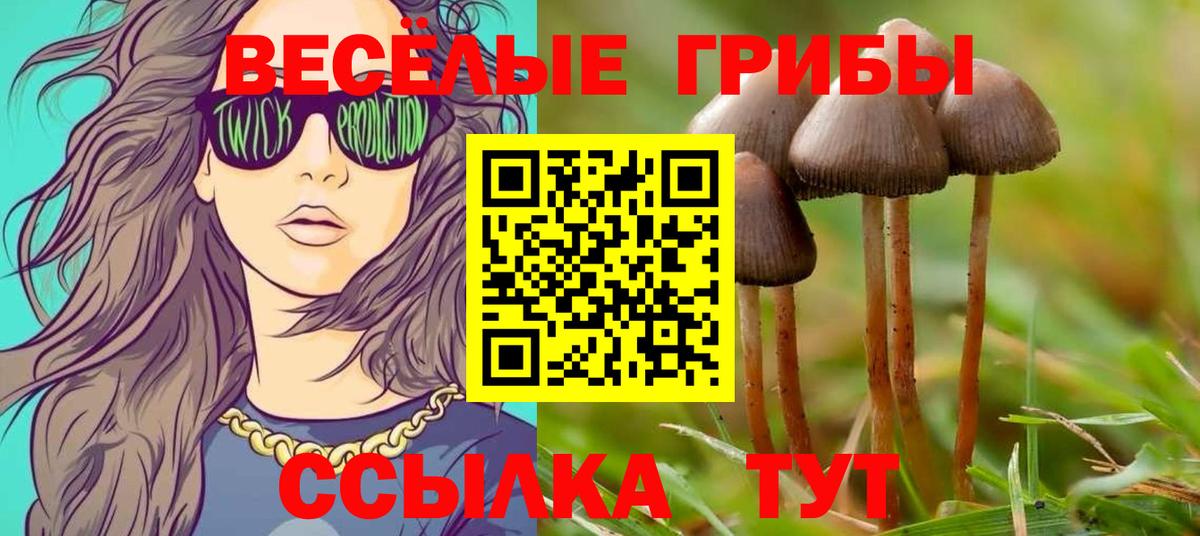 Псилоцибиновые грибы Psilocybine cubensis  Вход с VPN  Знаменск 